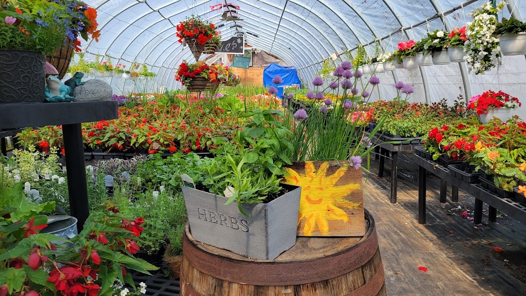 Hummingbird Gardens Garden Centre | Seguin, ON P0G, Canada | Phone: (705) 732-1277