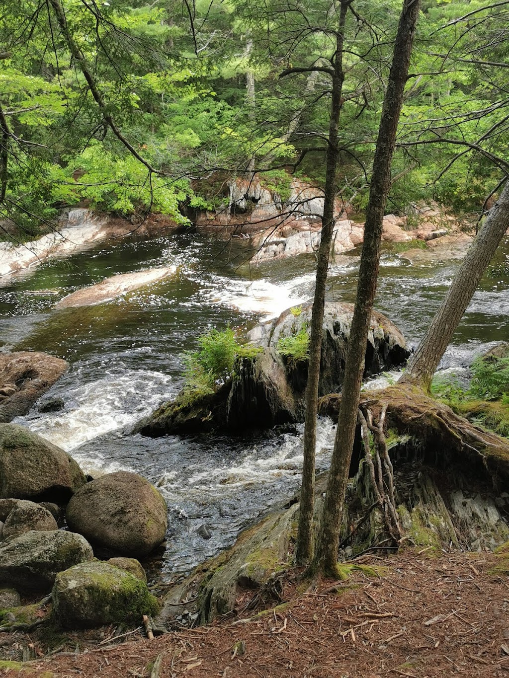 Kejimkujik National Park Visitors Center | 3005 Kejimkujik Main Parkway, Annapolis County, NS B0T 1B0, Canada | Phone: (902) 682-2772