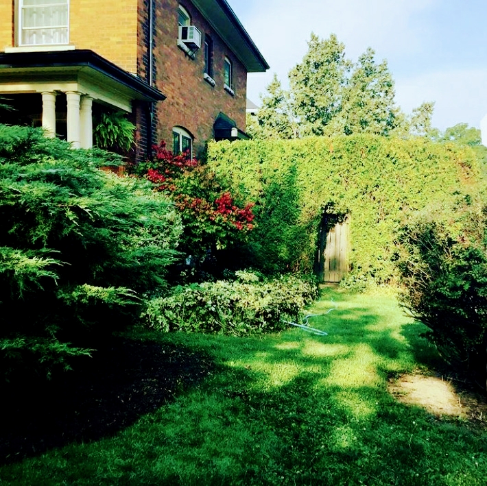 H.S. Lawn Care And Property Maintenance | 21 King St W 5 Floor, Hamilton, ON L8P 4W7, Canada | Phone: (905) 512-3680