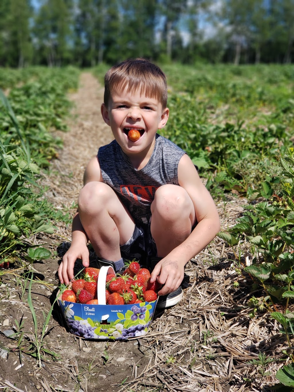 Le Jardin Fruitier | 4521 Rue de Lotbinière, Sherbrooke, QC J1N 0E3, Canada | Phone: (819) 864-6297