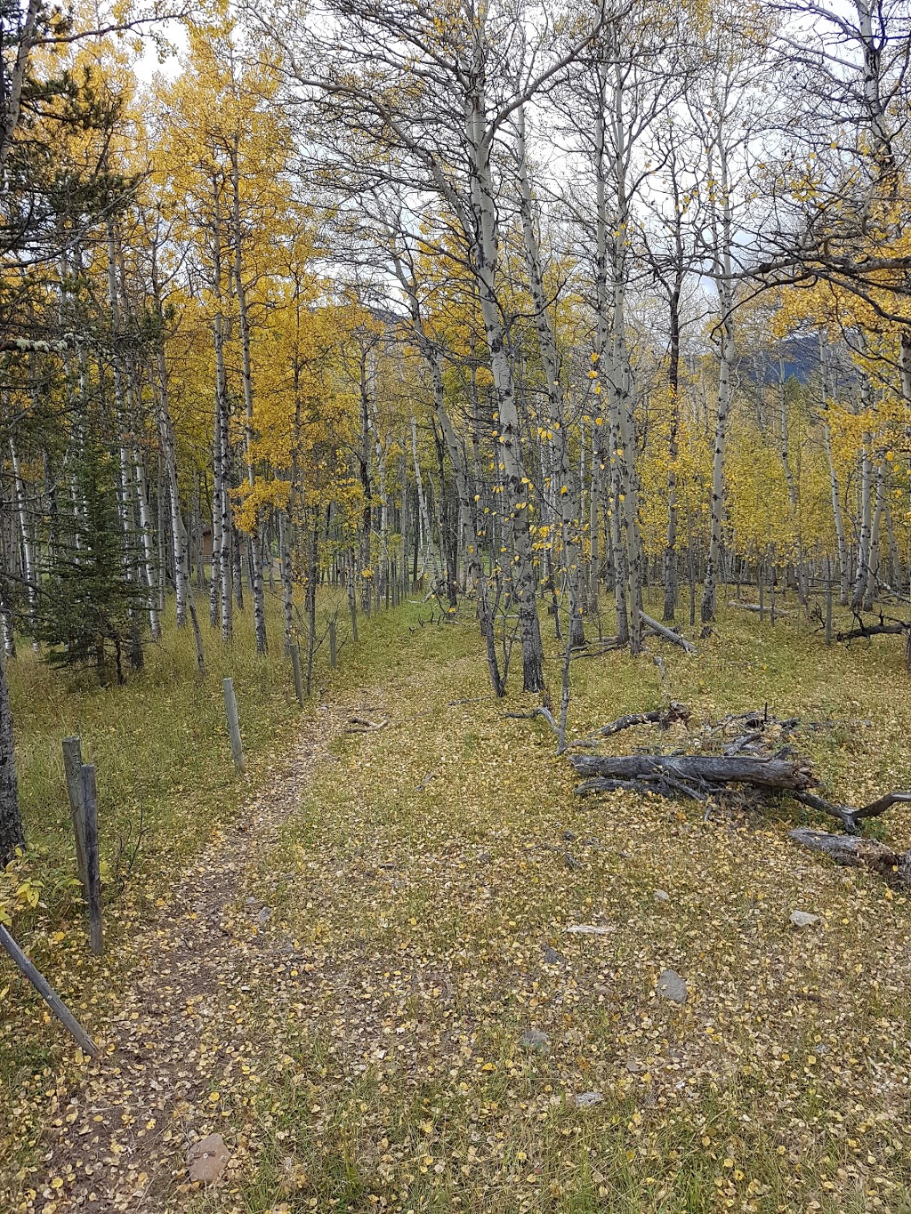 Sheep River Park Headquarters | Millarville, AB T0L 1K0, Canada