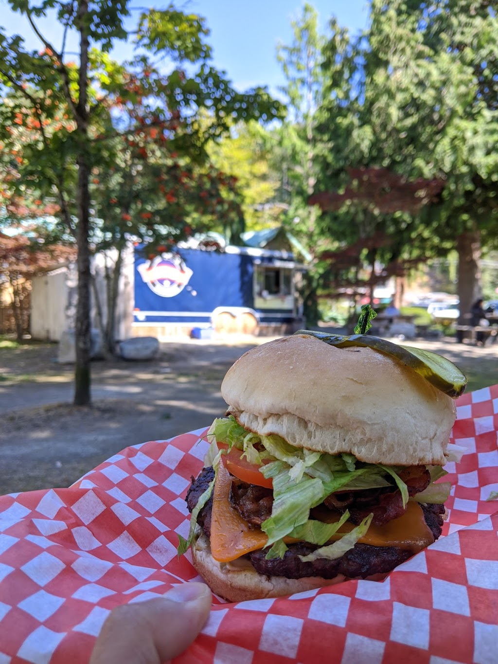 Badabing Burgers | 12905 Madeira Park Rd, Madeira Park, BC V0N 2H0, Canada | Phone: (604) 883-9655