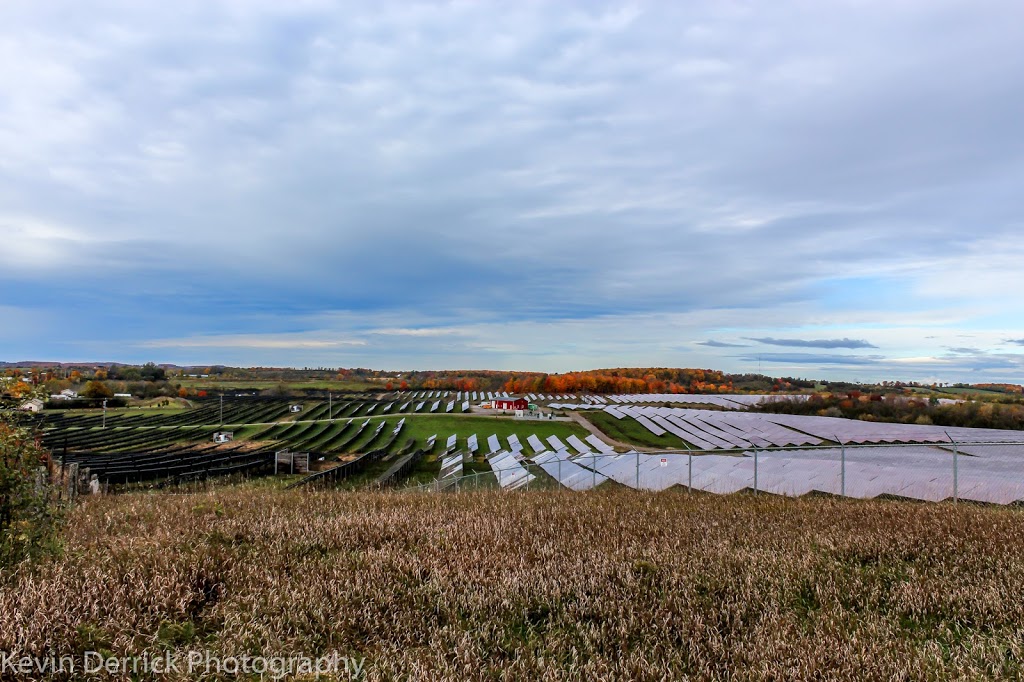 Lily Lake Solar Farm | Lily Lake Rd, Peterborough, ON K9J 6X3, Canada