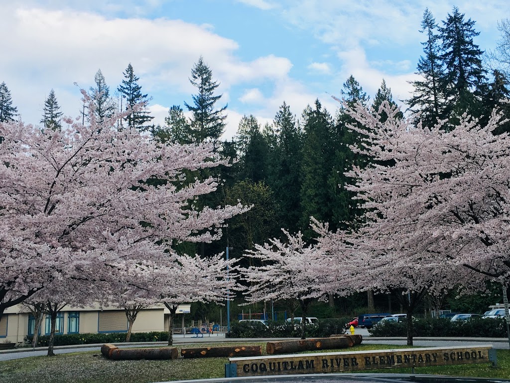 École Coquitlam River Elementary School | 4250 Shaughnessy St, Port Coquitlam, BC V3E 3E5, Canada | Phone: (604) 942-0241