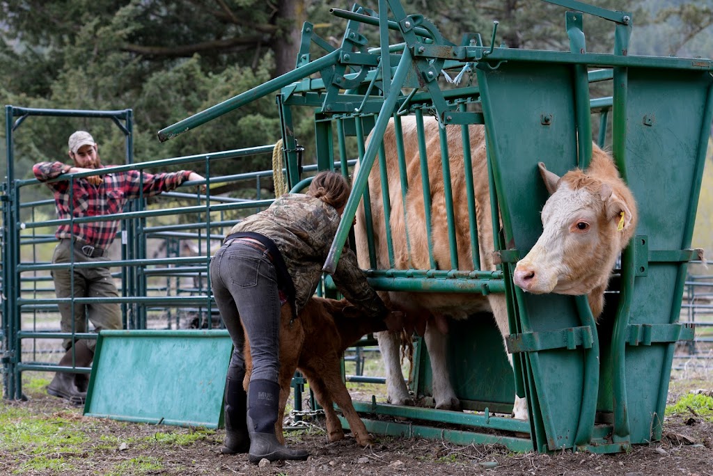 Spray Creek Ranch | 15045 Texas Creek Rd, Lillooet, BC V0K 1V0, Canada | Phone: (778) 784-2569