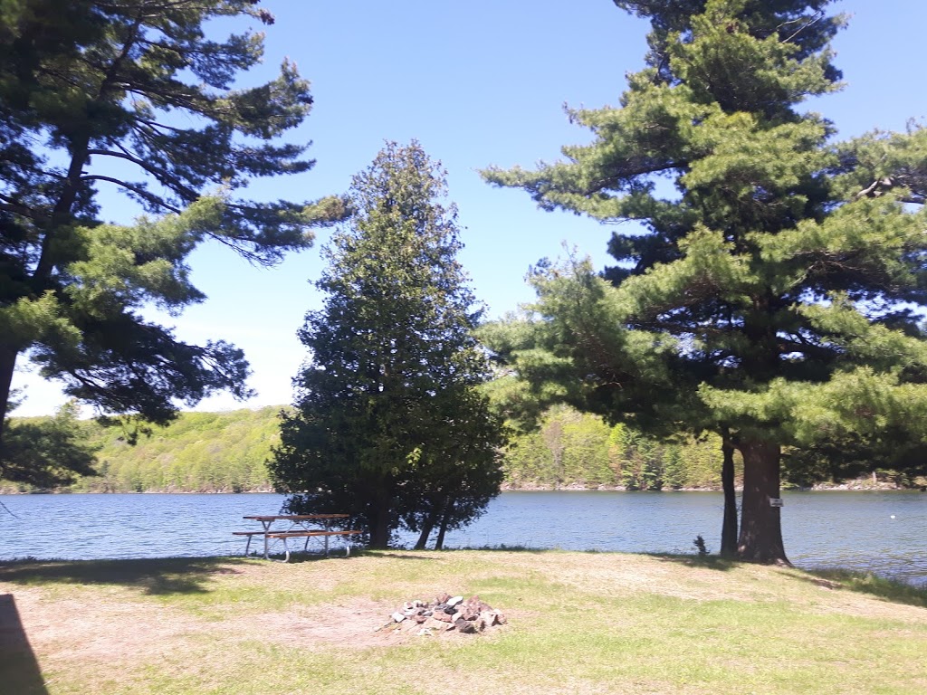 Canoe Lake Campground | 10434 Canoe Lake Rd, Godfrey, ON K0H 1T0, Canada | Phone: (613) 273-5232