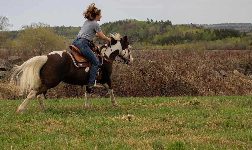 Equestrian Center Deserto | 117 Chem. Baskatong, La Vallée-de-la-Gatineau, QC J0W 1E0, Canada | Phone: (819) 660-9039