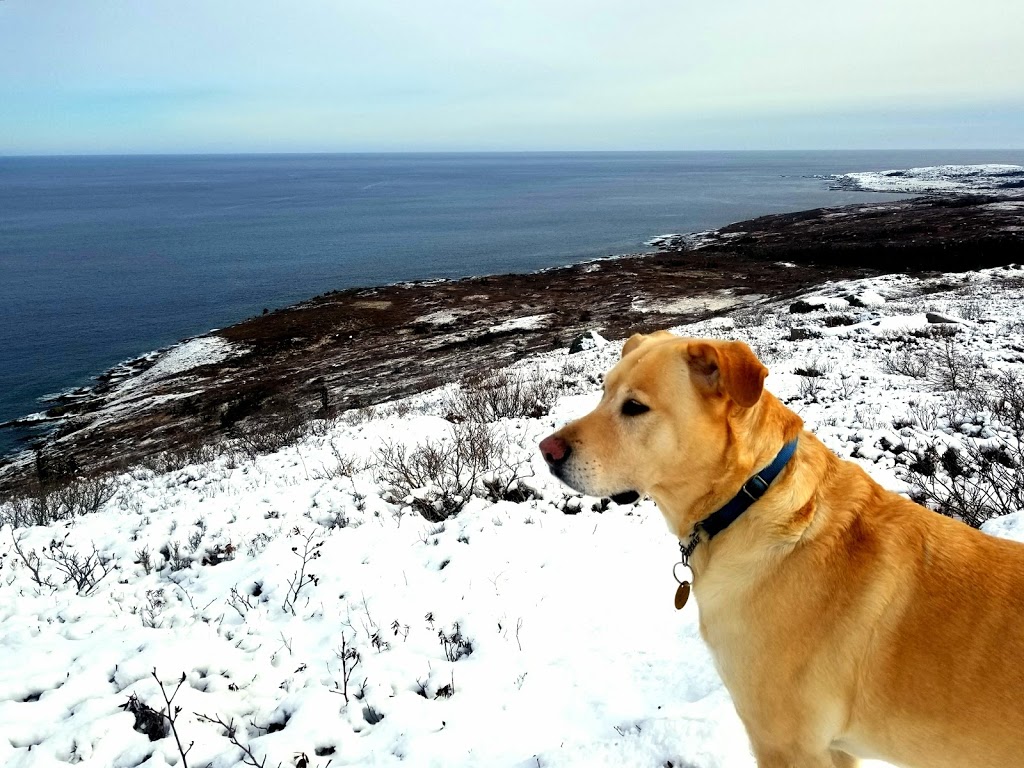 Deadmans Bay Path - Trailhead | Deadmans Bay Path, St. Johns, NL A1C 5H2, Canada