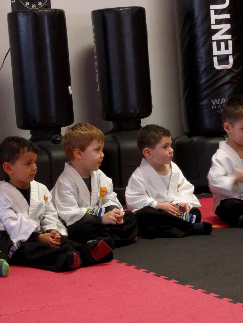 Karate Sportif Candiac | 172 Boulevard de lIndustrie, Candiac, QC J5R 1J3, Canada | Phone: (450) 695-1717