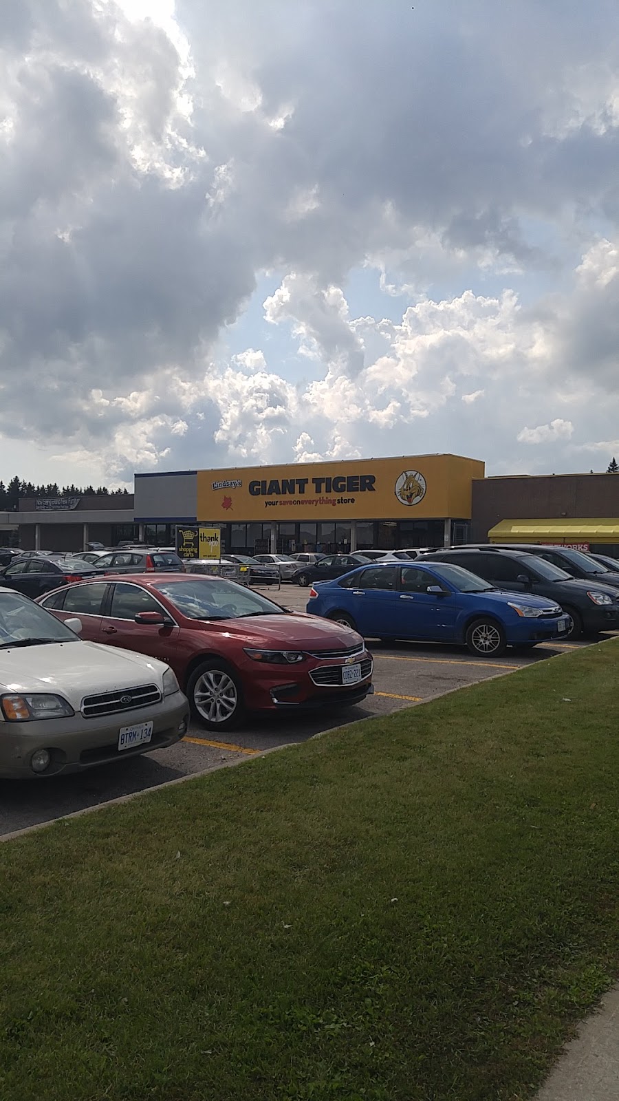 Giant Tiger | 55 Angeline St N, Lindsay, ON K9V 5B7, Canada | Phone: (705) 328-9572