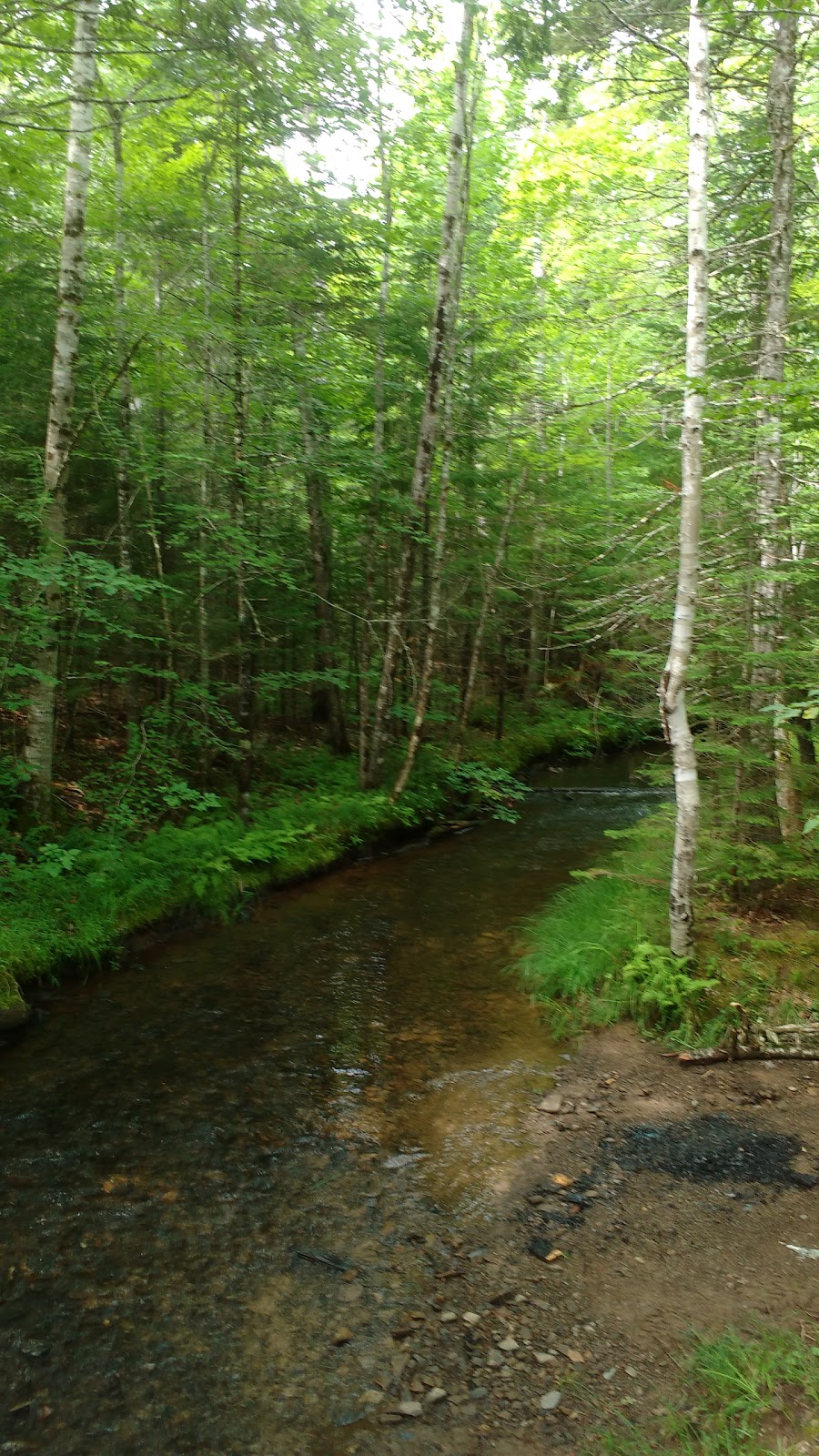 Eldridge Falls | West Hants, NS B0P 1V0, Canada