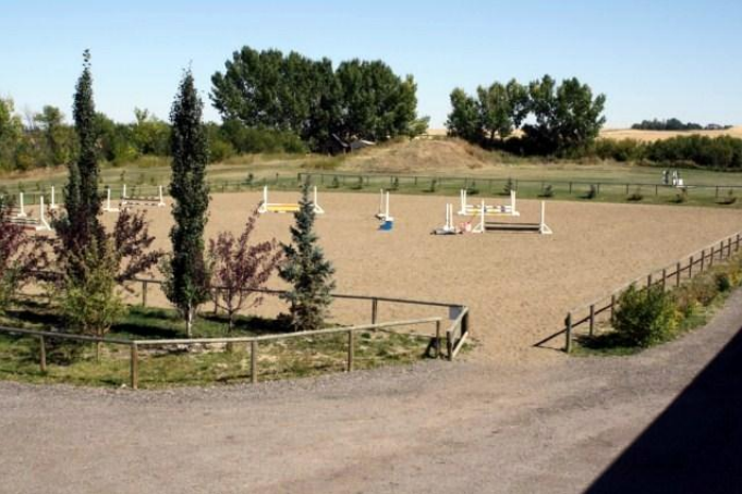 Blazing Hearts Ranch | 338060, Range Rd 284, High River, AB T1V 1N1, Canada | Phone: (403) 601-6723