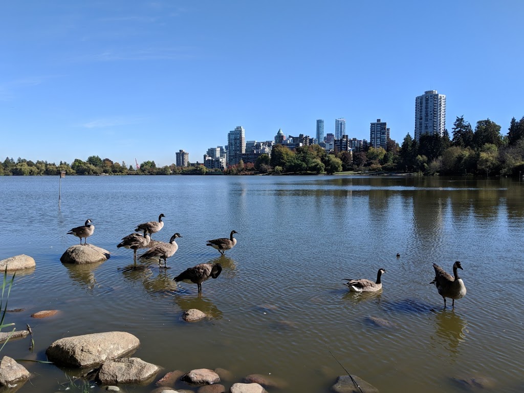 Lost Lagoon, Stanley Park | Lost Lagoon Path, Vancouver, BC V6G, Canada | Phone: (604) 873-7000