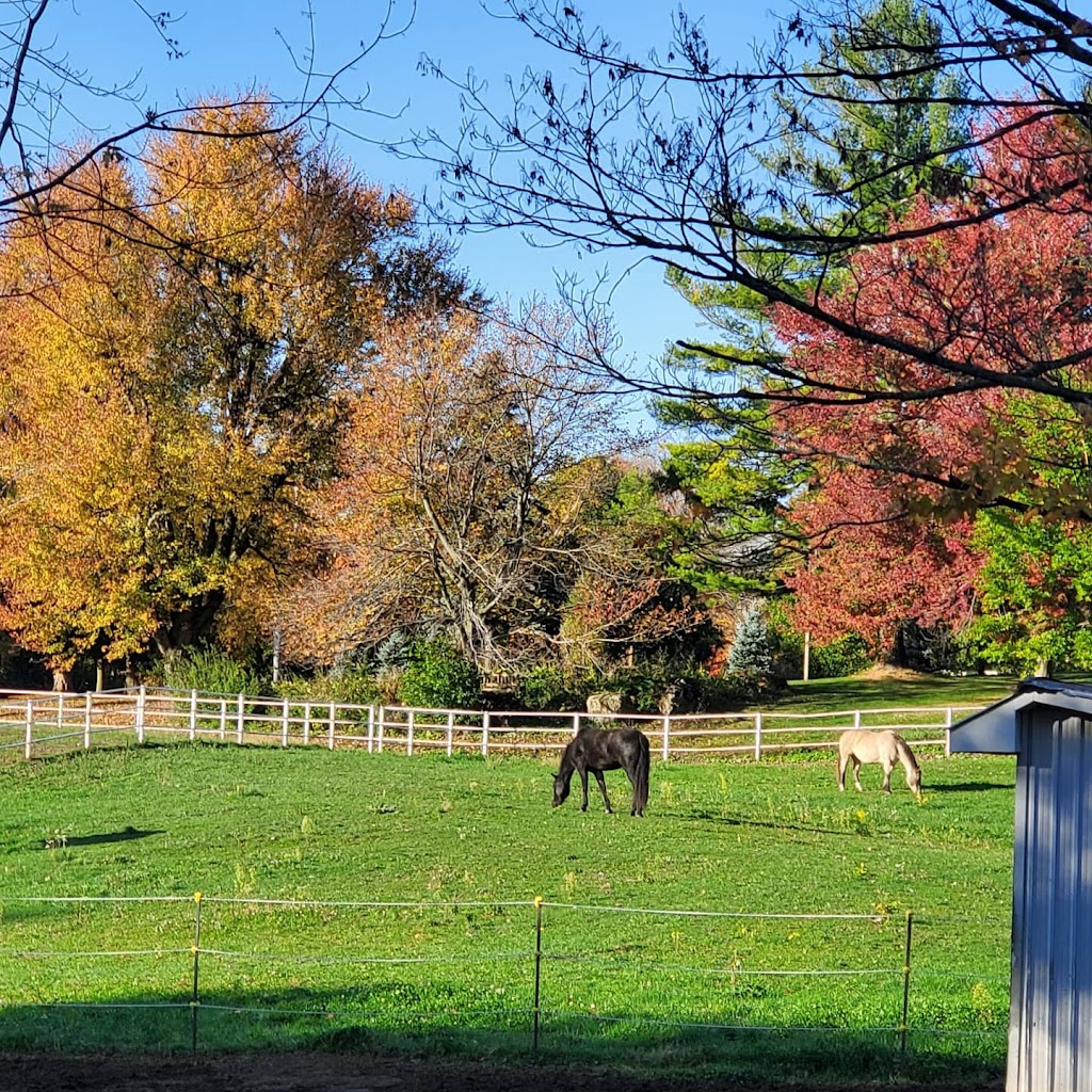 Marabel Farm Warmbloods | 233 Glen Morris Rd E, St George, ON N0E 1N0, Canada | Phone: (226) 388-3696