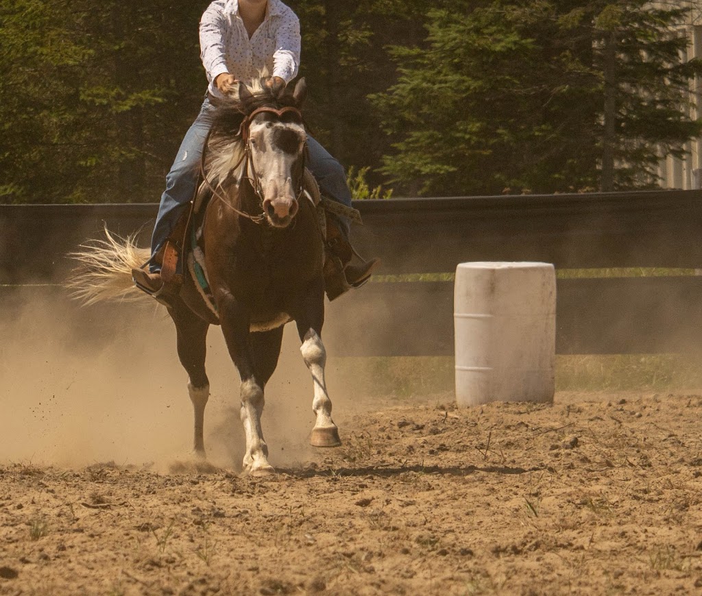 Equestrian Center Deserto | 117 Chem. Baskatong, La Vallée-de-la-Gatineau, QC J0W 1E0, Canada | Phone: (819) 660-9039