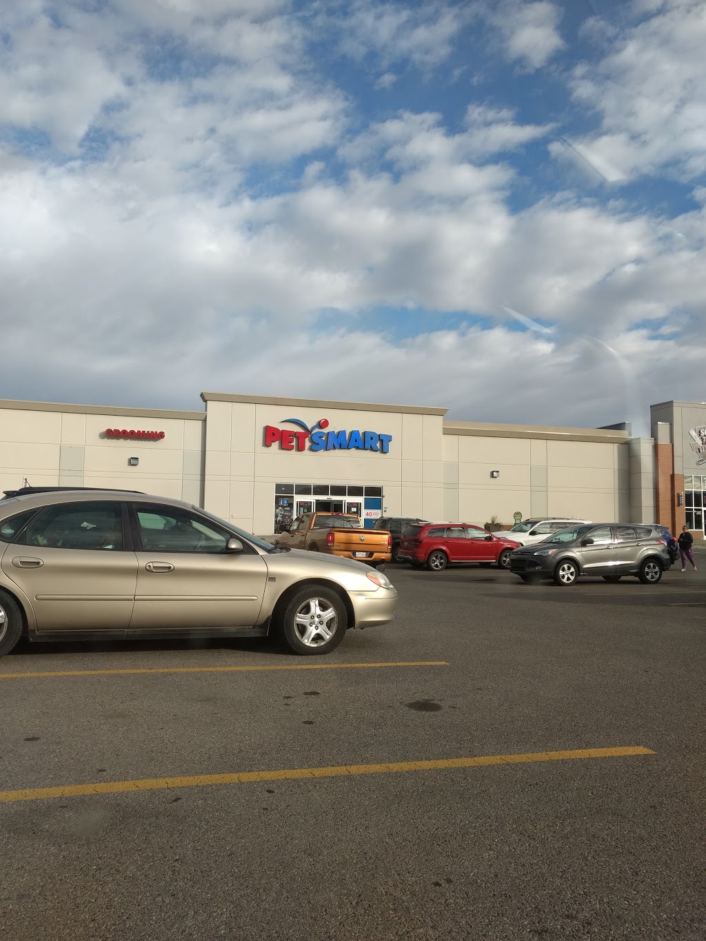 PetSmart | 81-4307 130 Ave SE, Calgary, AB T2Z 3V8, Canada | Phone: (403) 257-7357