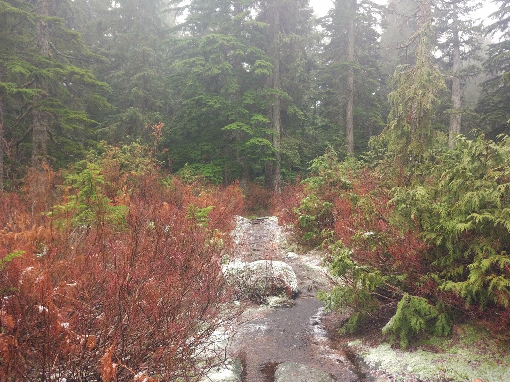 Lost Lake | West Vancouver, BC V0N 1G0, Canada