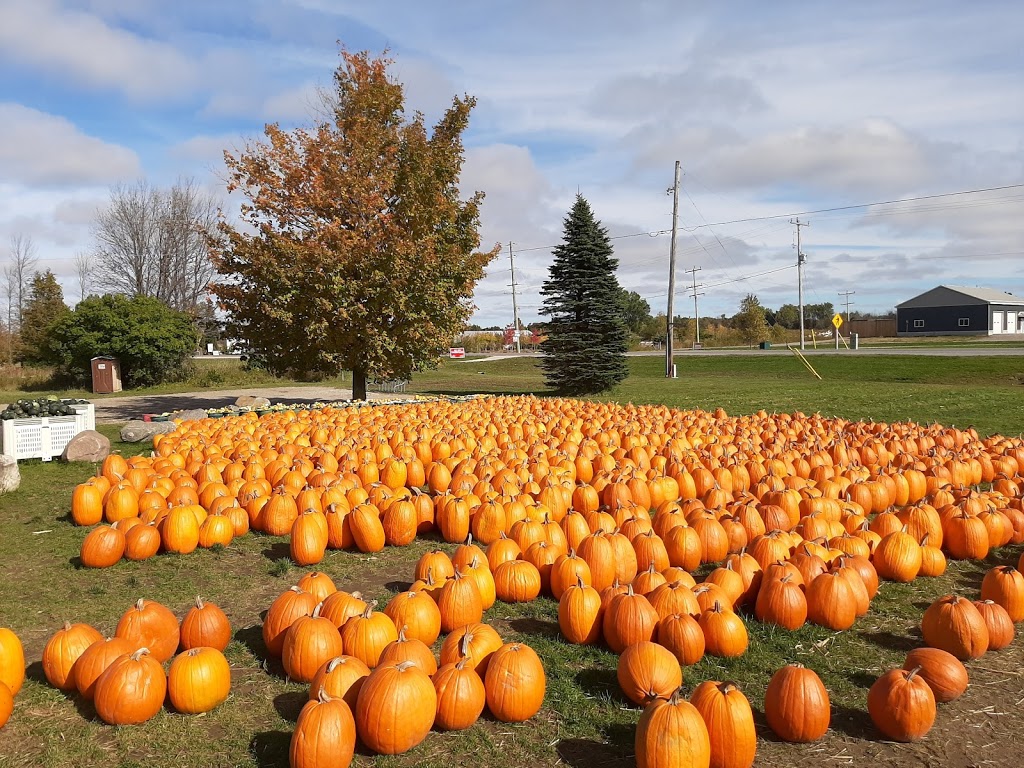 Hi-Berry Farm | 5639 ON-21, Port Elgin, ON N0H 2C6, Canada | Phone: (519) 832-5283