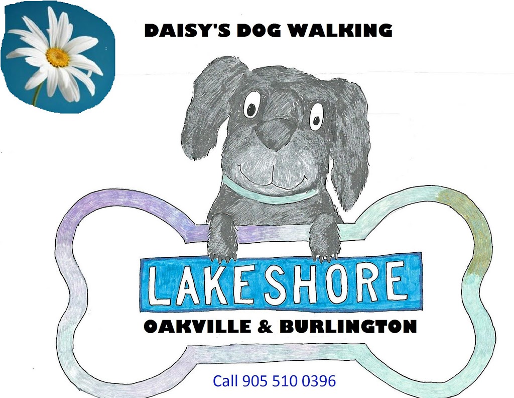 Daisydogwalking.ca | 177 Boxley Rd, Burlington, ON L7L 4S5, Canada | Phone: (905) 510-0396