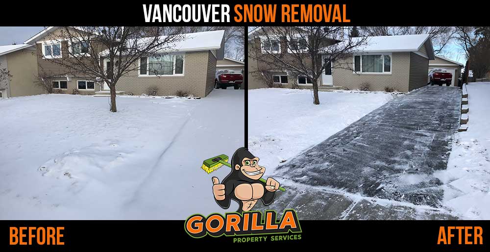 Gorilla Property Services | 8623 Granville St Suite 122, Vancouver, BC V6P 5A2, Canada | Phone: (604) 332-2090