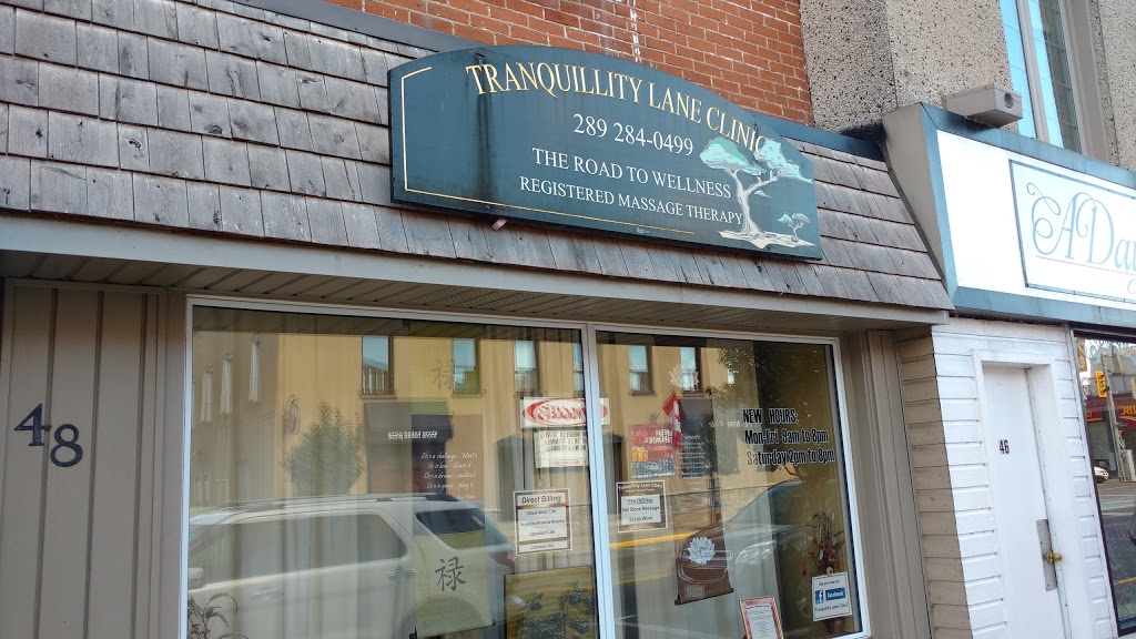 Tranquillity Lane Clinic | 48 Argyle St N, Caledonia, ON N3W 1B9, Canada | Phone: (289) 284-0499