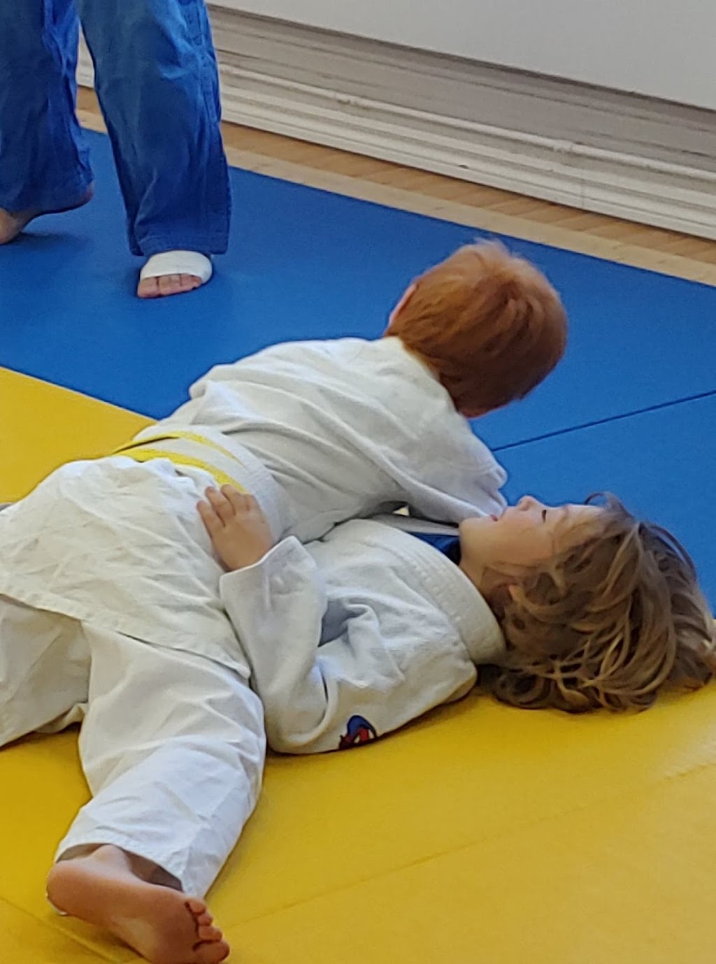 Club de Judo Shawinigan | 253 3e rue de la Pointe local 212, Shawinigan, QC G9N 1H5, Canada | Phone: (873) 378-5836