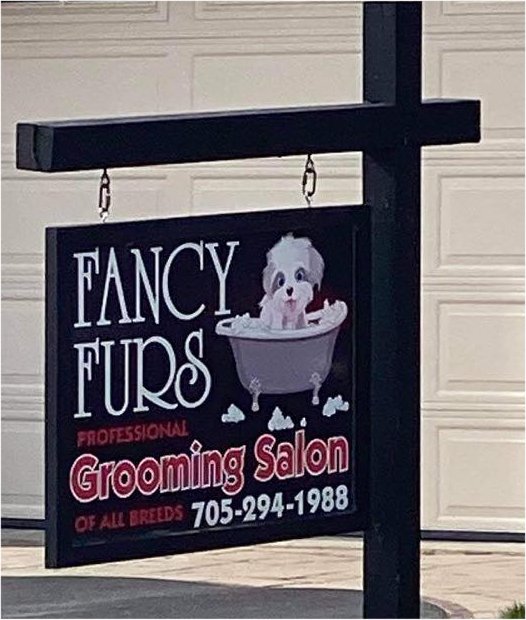 Fancy Furs Grooming Salon | 2021 Celeste St, Innisfil, ON L9S 4Z5, Canada | Phone: (705) 294-1988