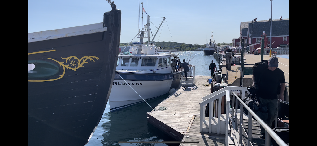 Torpedo Rays Scuba Adventures | 625 Windmill Rd, Dartmouth, NS B3B 1B6, Canada | Phone: (902) 481-0444