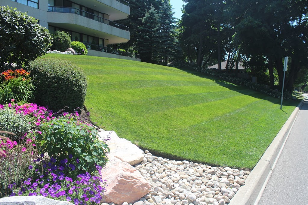 Snider Turf And Landscaping Care Ltd. | 597 Colby Dr #4, Waterloo, ON N2V 1A1, Canada | Phone: (519) 220-8333