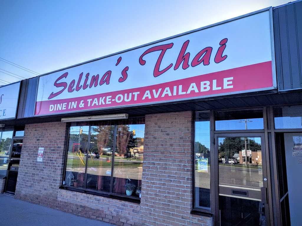 Selinas Thai | 580 Murphy Rd, Sarnia, ON N7S 5V4, Canada | Phone: (519) 337-8776