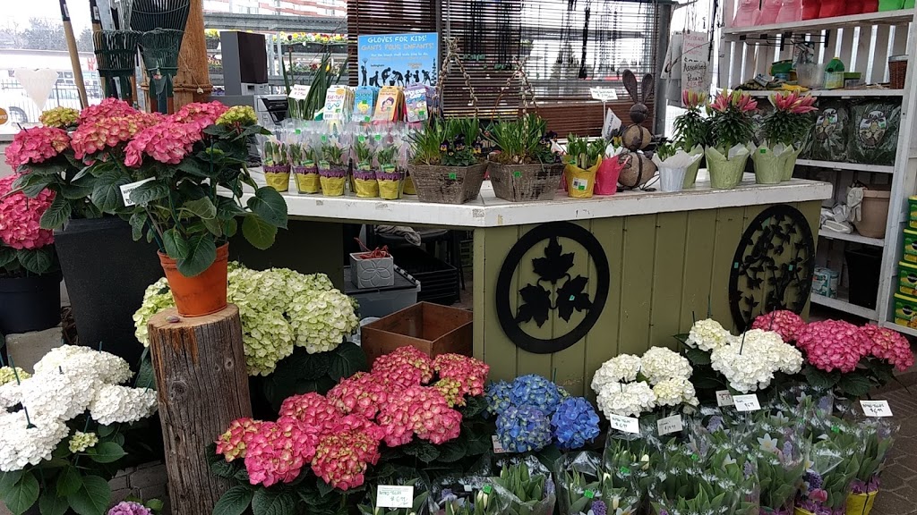 Greenwood Garden Centre | 6745 Kingston Rd, Scarborough, ON M1B 1G9, Canada | Phone: (416) 282-2666