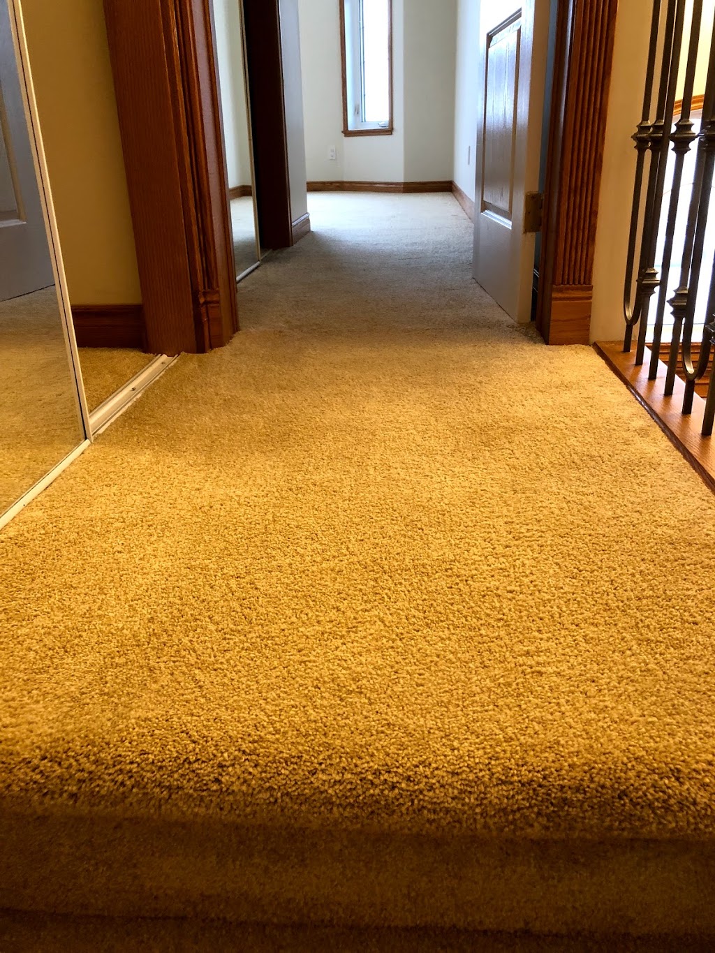 Riccardo’s Steam Carpet & Upholstery Cleaning | 2060 Tanner Wynd NW, Edmonton, AB T6R 2R4, Canada | Phone: (780) 710-9470