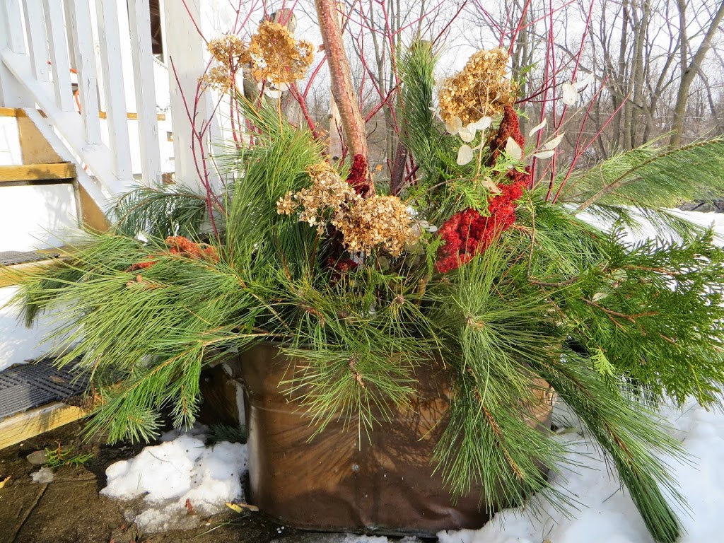 Quesnel Christmas Trees | Collingwood, ON L9Y 3Z1, Canada | Phone: (705) 445-2375
