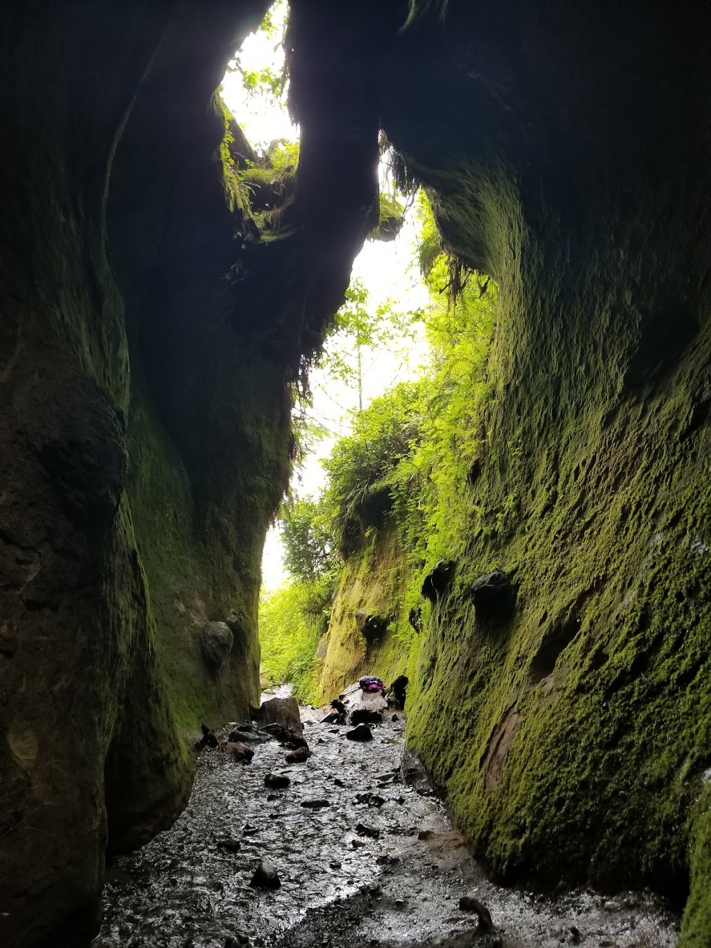 Sombrio Beach Trailhead | Juan de Fuca, BC V0S, Canada | Phone: (250) 474-1336