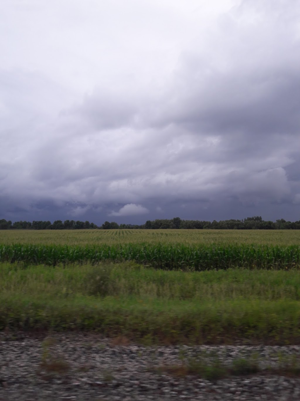 Carrs Marsh Conservation Area | Bob Carr Rd, Port Hope, ON L1A 4L1, Canada | Phone: (905) 797-2721