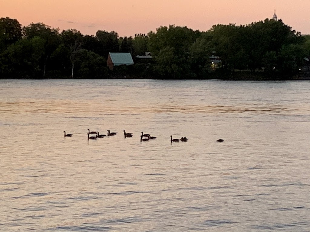 Cpe Les PTites Frimousses De La Merci | 575 Boul Gouin O, Montréal, QC H3L 1K6, Canada | Phone: (514) 331-0055