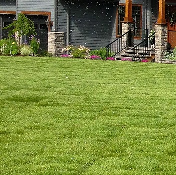 BC Instant Lawns and Landscapes | 3865 72 St, Delta, BC V4K 3N2, Canada | Phone: (604) 454-4954