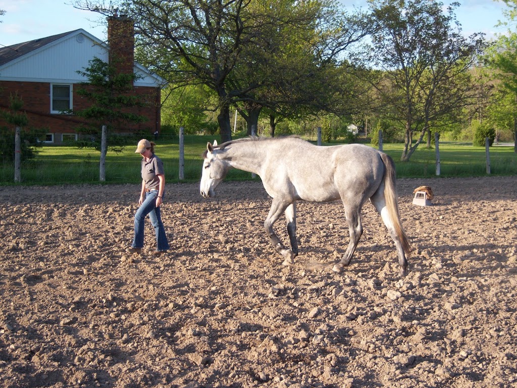 Aspen Acres Farms | Rathfon Rd, Port Colborne, ON L3K 5V4, Canada | Phone: (289) 686-2516