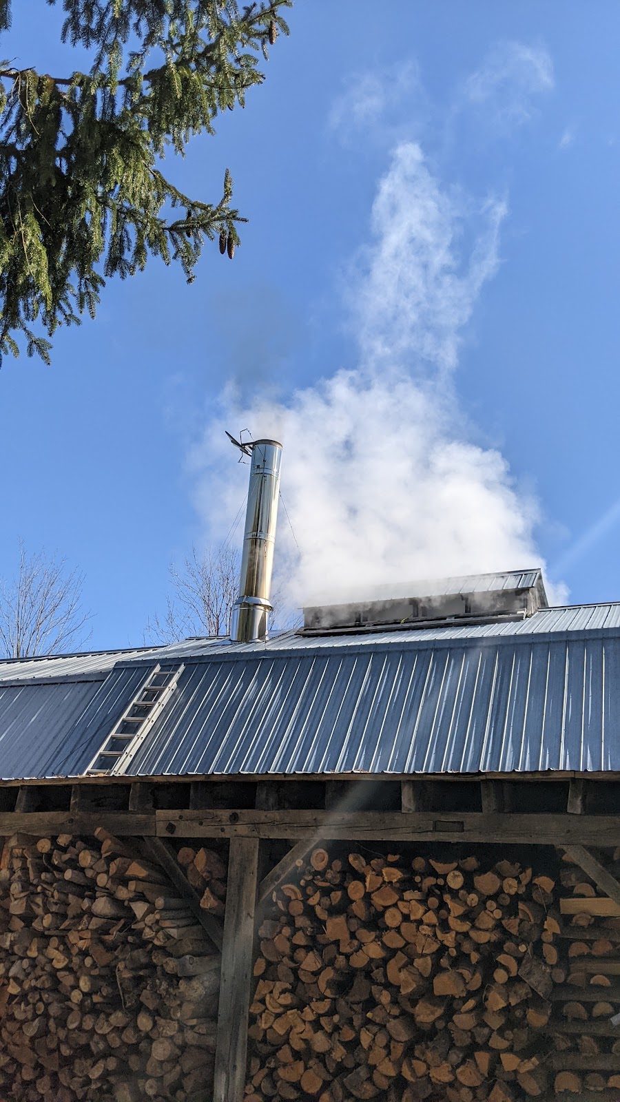 Mapleside Sugar Bush | 166 Reiche Rd, Pembroke, ON K8A 6W4, Canada | Phone: (613) 735-2366