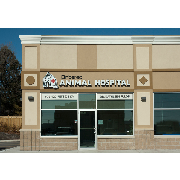 Amberlea Animal Hospital | 780 Kingston Rd b1, Pickering, ON L1V 0C5, Canada | Phone: (905) 420-7387