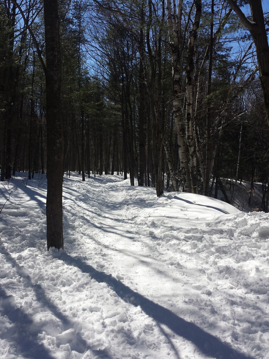 Parc écologique de la Coulée | Terrebonne, QC J6X 1W1, Canada