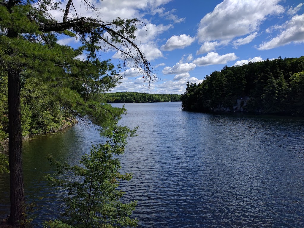 Oastler Lake Provincial Park | 380 Oastler Park Dr, Parry Sound, ON P2A 2W8, Canada | Phone: (705) 378-2401