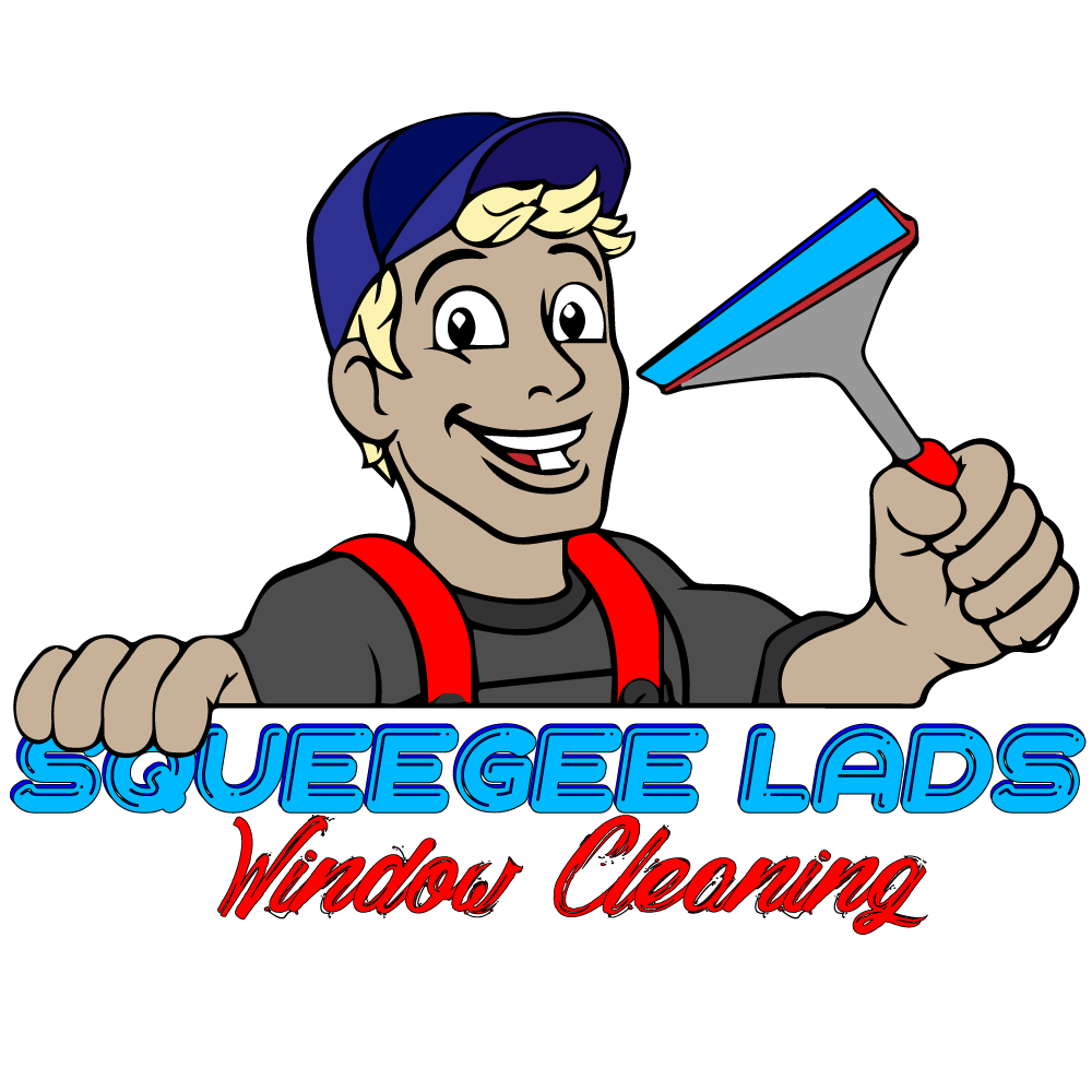 Squeegee Lads | 1462 Queenston Rd, Cambridge, ON N3H 3L6, Canada | Phone: (519) 716-2282