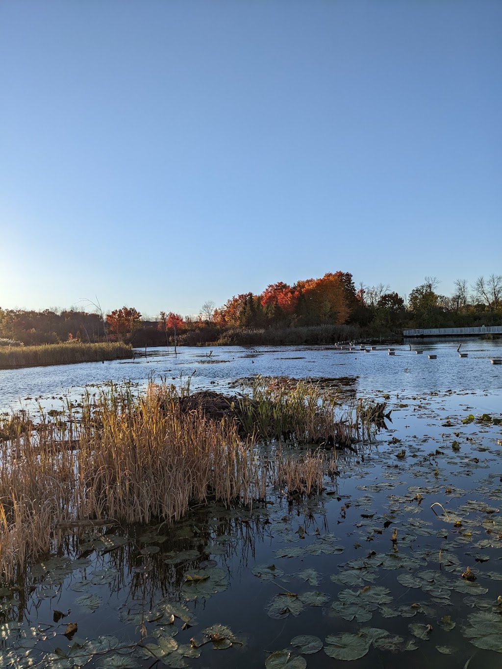 Parc-nature du Bois-de-LÎle-Bizard Grand walkway | LÎle-Bizard, Montreal, QC H9C 1P5, Canada | Phone: (514) 280-6778