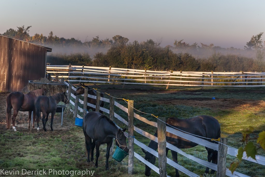 Inukshuk Farm & Equestrian Centre | 1940 Birch Island Rd, Lakefield, ON K0L 2H0, Canada | Phone: (705) 875-2899