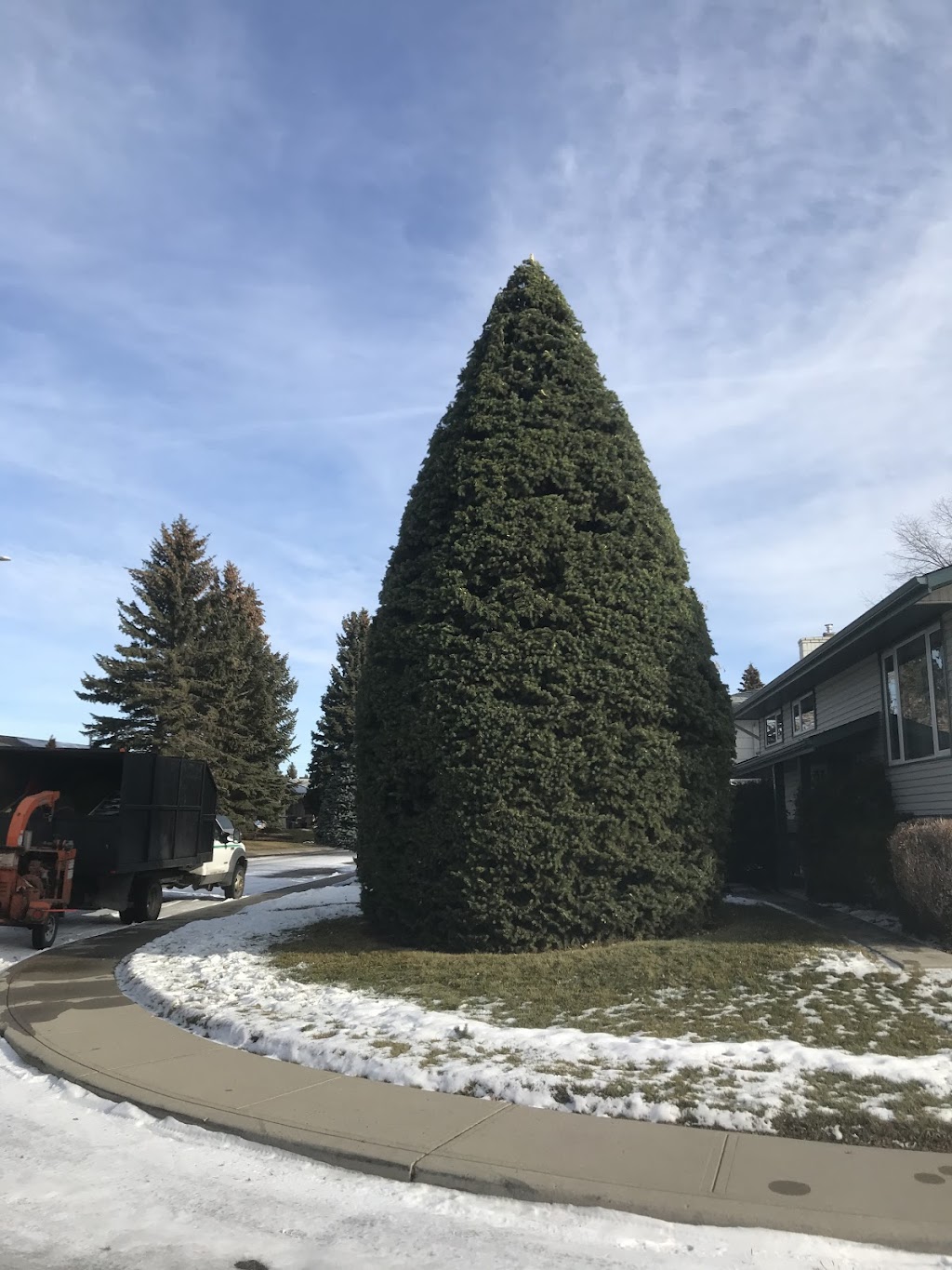 Tomrens Tree Services | No street address, Calgary, AB T2K 6J8, Canada | Phone: (403) 561-7194