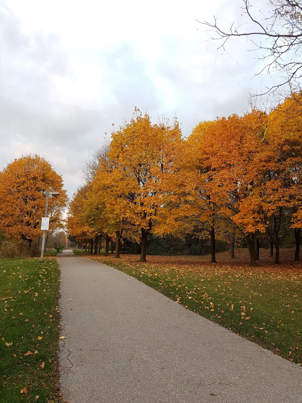 Allan Kerbel Park | Brickyard Way, Brampton, ON L6V 4L9, Canada