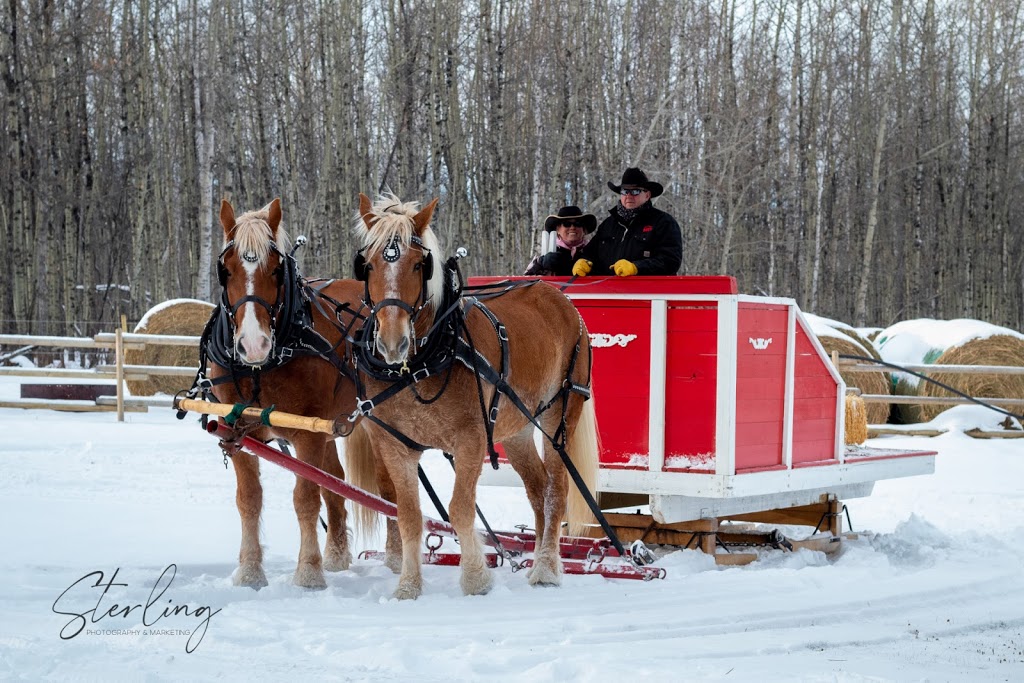 Pigeon Lake Horse Drawn Rides | Range Rd 20, Wetaskiwin County No. 10, AB T0C 2C0, Canada | Phone: (780) 312-0097