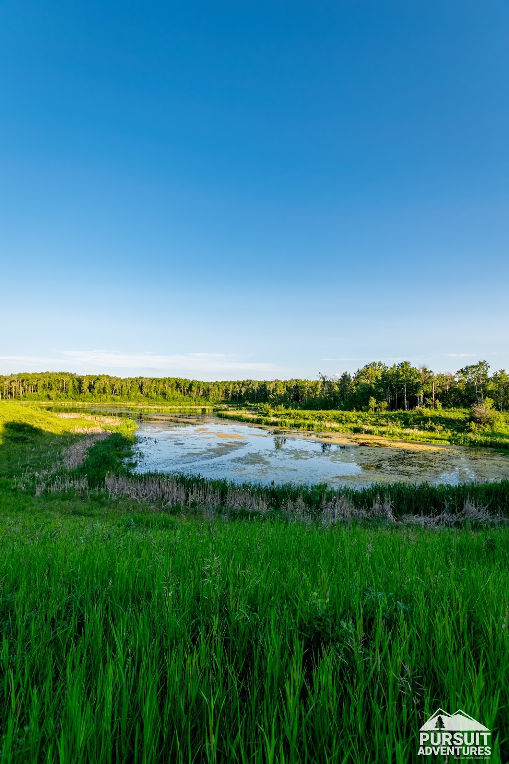 Lockerby Conservation Site | AB-816, Red Deer County, AB T4E 1C1, Canada | Phone: (877) 969-9091