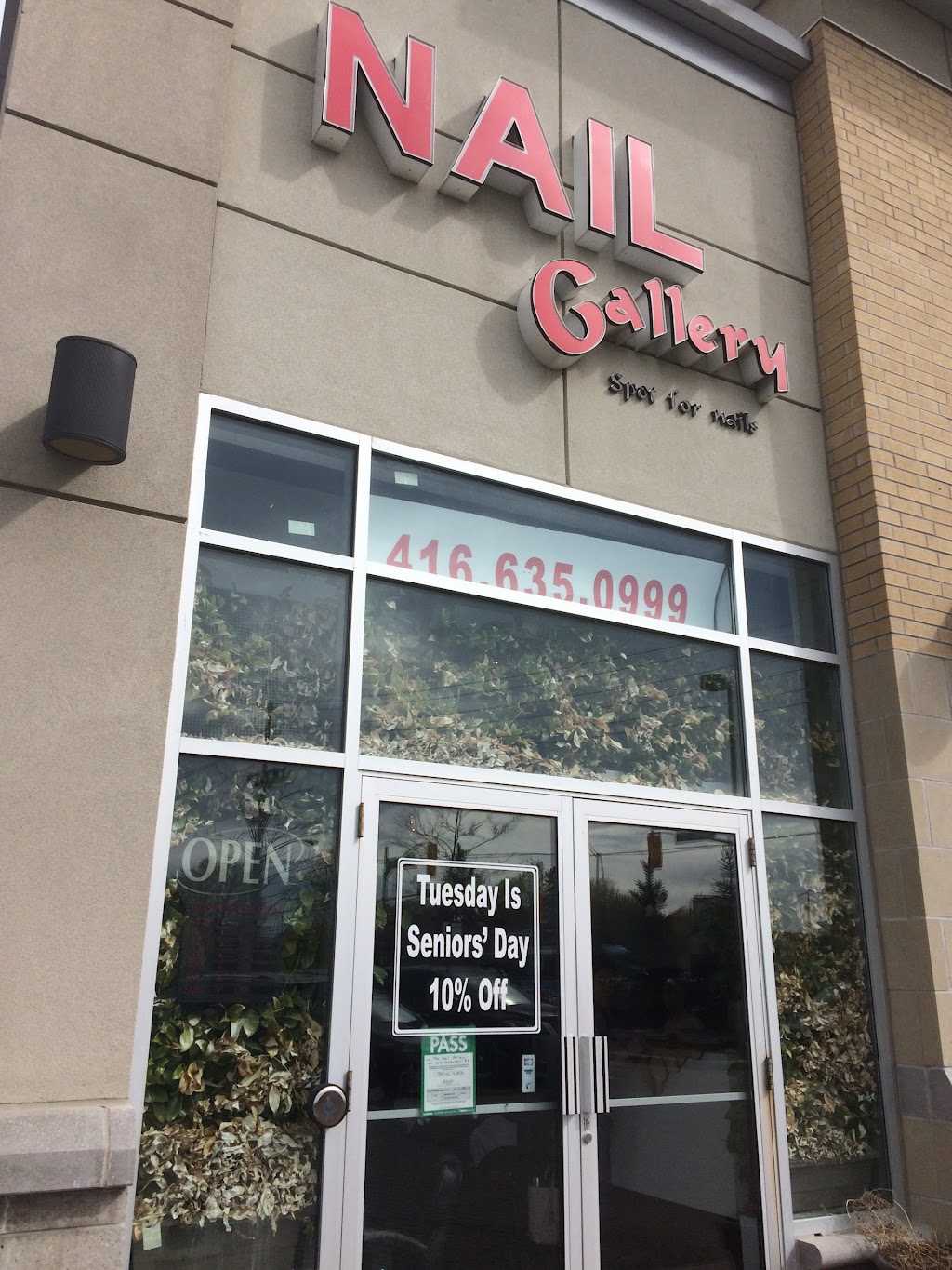 Nail Gallery | 1123 Lodestar Rd, North York, ON M3J 0G9, Canada | Phone: (416) 635-0999